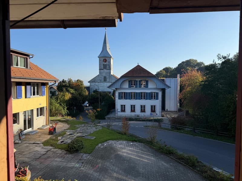 Charmantes Bauernhaus mit Garage und grossem Garten in Mühledorf SO (16)