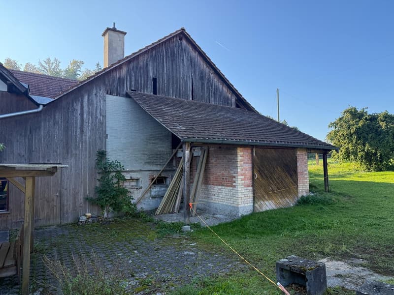 Charmantes Bauernhaus mit Garage und grossem Garten in Mühledorf SO (7)