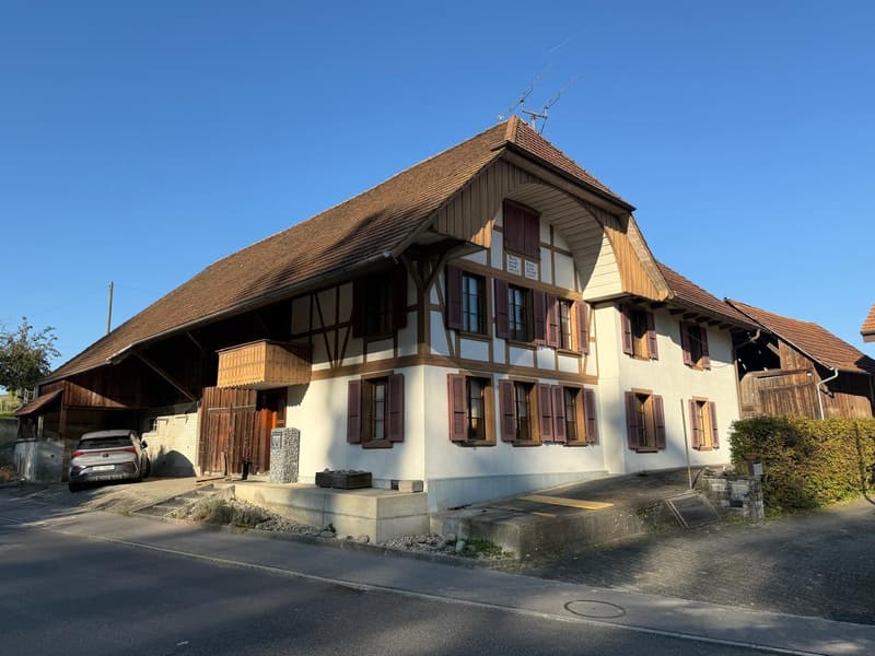 Charmantes Bauernhaus mit Garage und grossem Garten in Mühledorf SO (6)