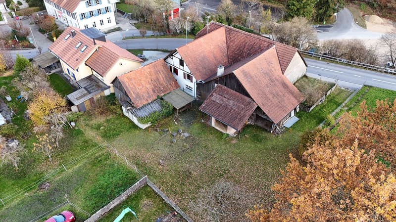 Charmantes Bauernhaus mit Garage und grossem Garten in Mühledorf SO (4)