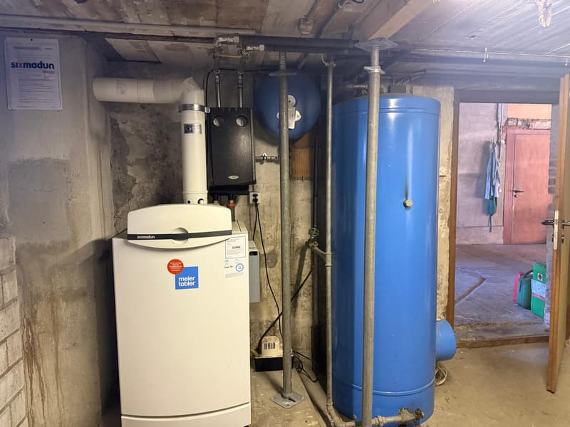 Charmantes Bauernhaus mit Garage und grossem Garten in Mühledorf SO (21)