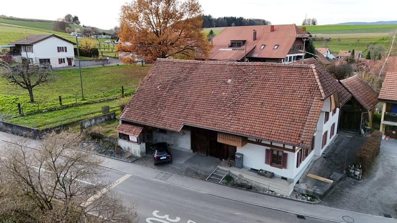 Charmantes Bauernhaus mit Garage und grossem Garten in Mühledorf SO (2)