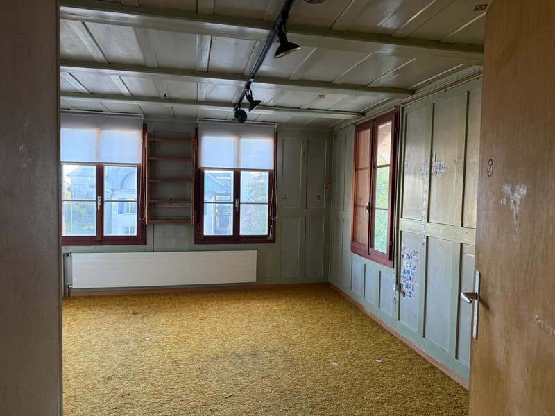 Charmantes Bauernhaus mit Garage und grossem Garten in Mühledorf SO (15)