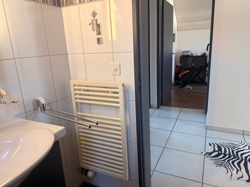Handtuchradiator OG