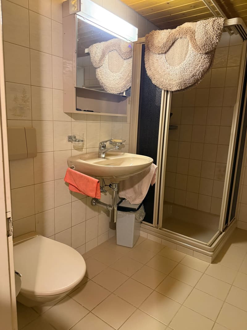Bad mit Dusche UG