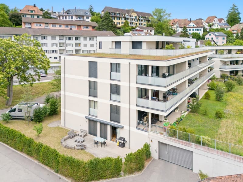 Garden apartment with lots of space and upscale finishes (7)
