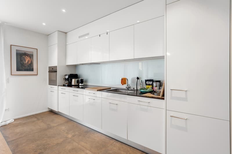 Garden apartment with lots of space and upscale finishes (3)