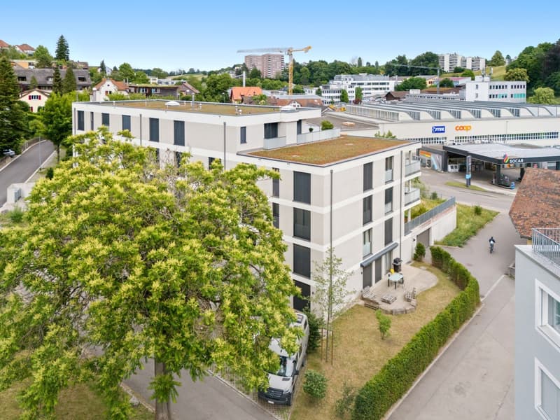 Garden apartment with lots of space and upscale finishes (6)