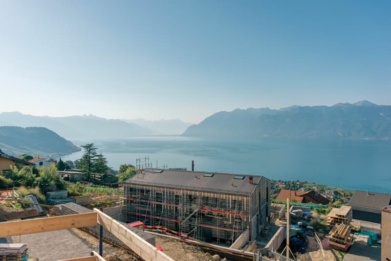 Magnifique villa de 5.5 pièces avec vue sur le lac Léman (11)