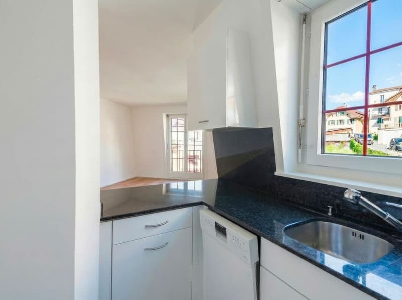 Beautiful 2.5-room apartment in the center of Montreux (5)