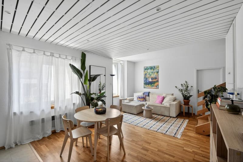 Rental Property - Exceptional Location in Romont (4)
