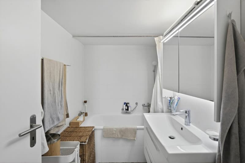 Rental Property - Exceptional Location in Romont (7)