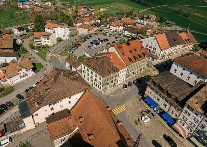 Rental Property - Exceptional Location in Romont (8)