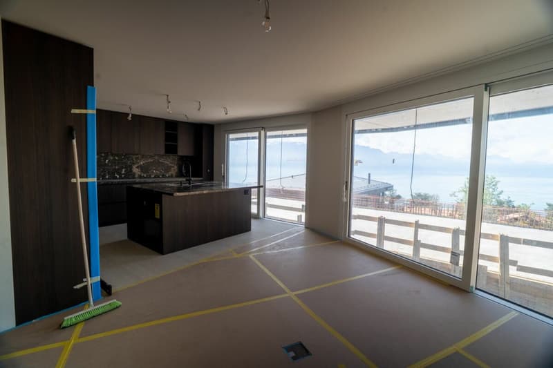 Superbe duplex avec vue sur le lac Léman (6)