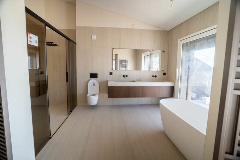 Superbe duplex avec vue sur le lac Léman (2)