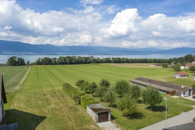 Magnificent building with 3 apartments in Forel (3)