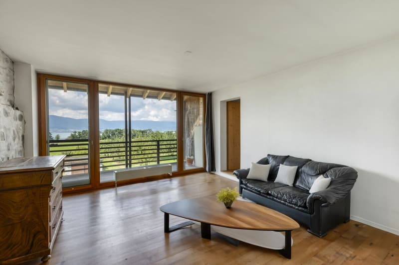 Magnificent building with 3 apartments in Forel (7)