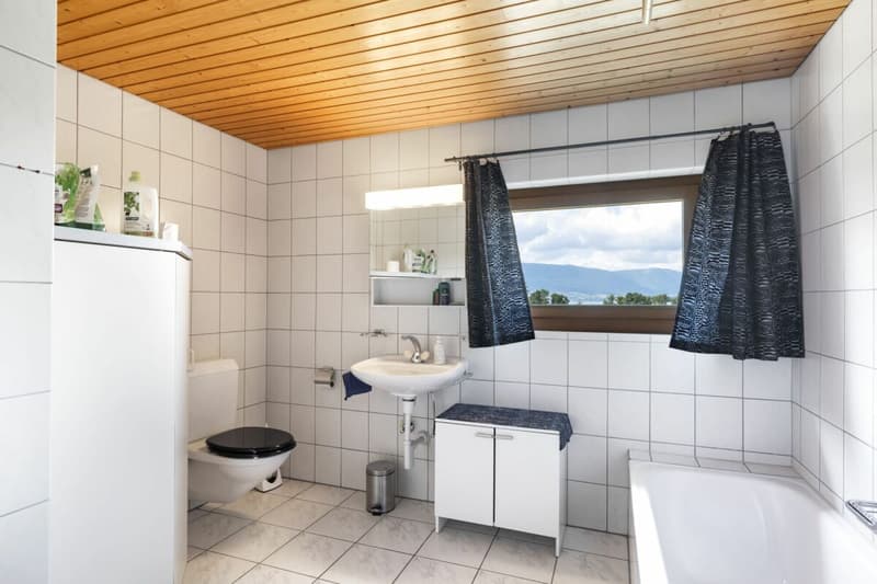 Magnificent building with 3 apartments in Forel (5)