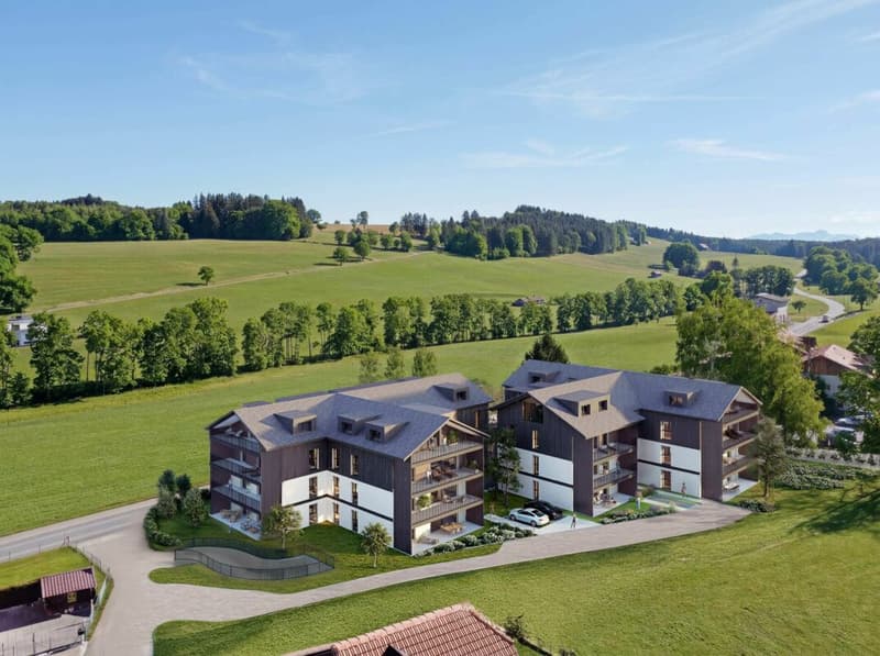 Superbe 4.5 pièces en pleine campagne et à prix très compétitif (10)