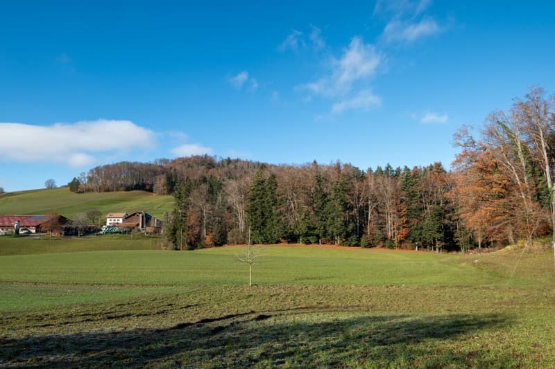 Les Maisons de Forel - Villa A (4)