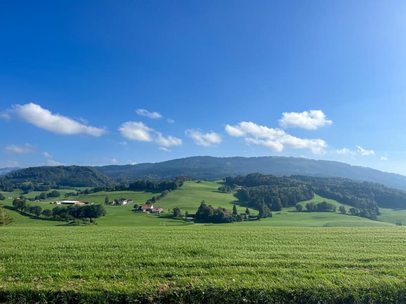 Les Villas d'Essert - Lot 10 (3)