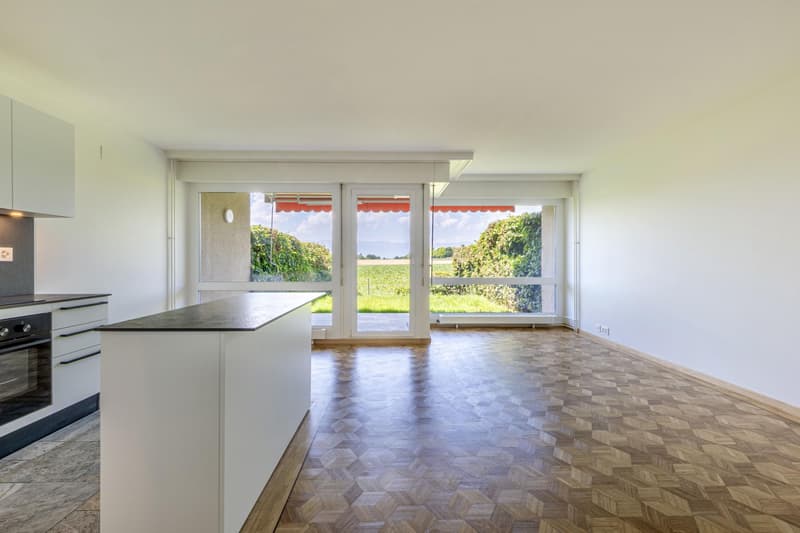 3 rooms renovated with garden (2)