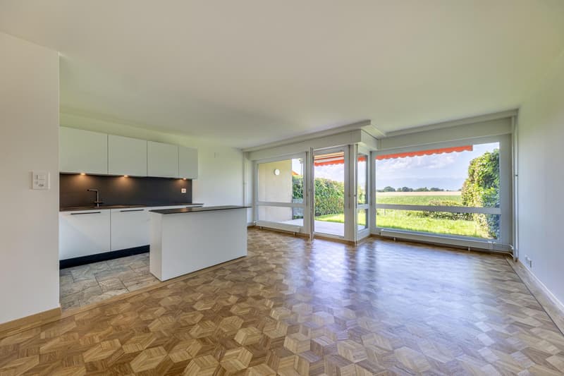 3 rooms renovated with garden (1)