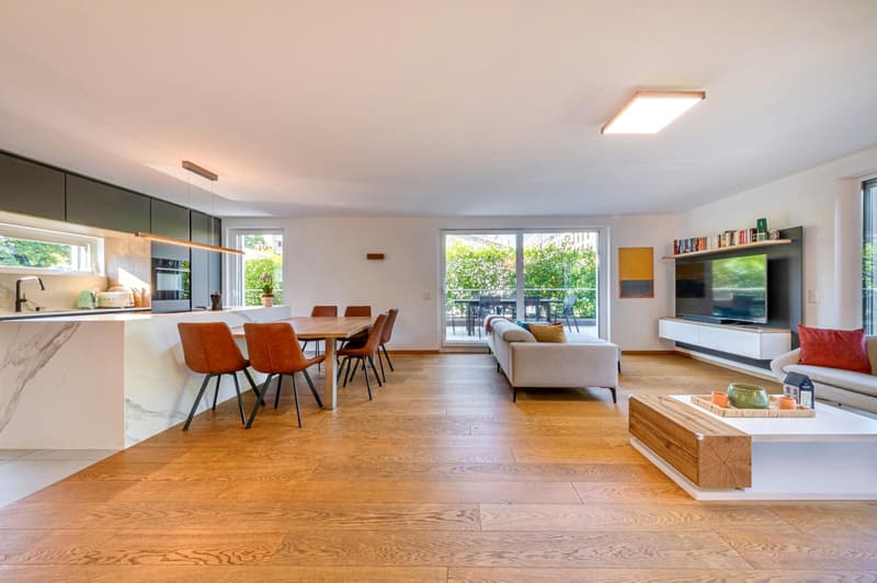 Bright contemporary attic with large terrace (1)
