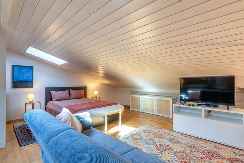 Bright contemporary attic with large terrace (5)