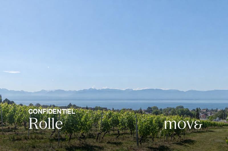 Magnifique triplex au coeur des vignes (1)