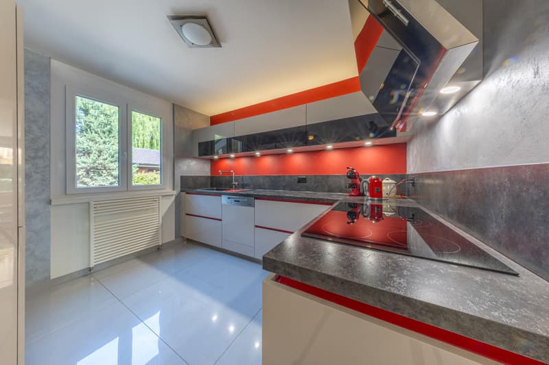 Villa familiale avec jardin (3)
