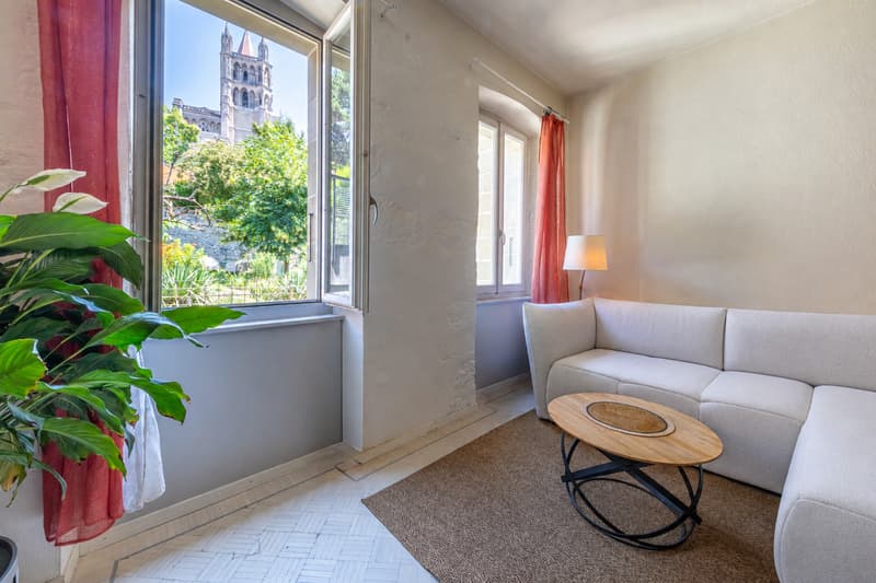 Appartement rare au centre de Lausanne (2)