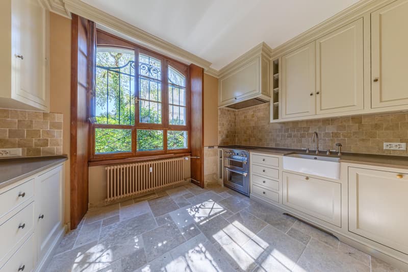Spacieux duplex de standing (3)