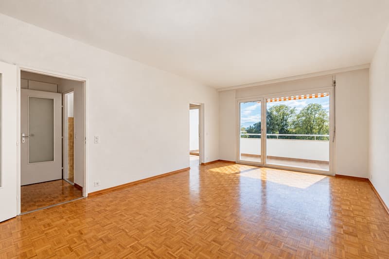 Agréable appartement de 4 pièces à deux pas du lac (1)