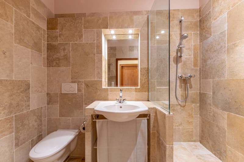 Spacieux duplex de standing (7)