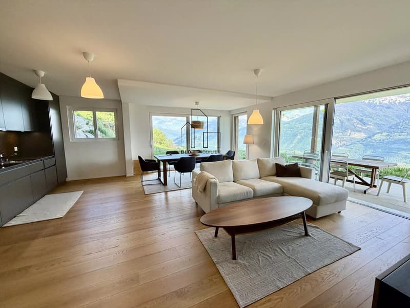 Beautiful new apartment with garden and view of the Rhone Valley (2)