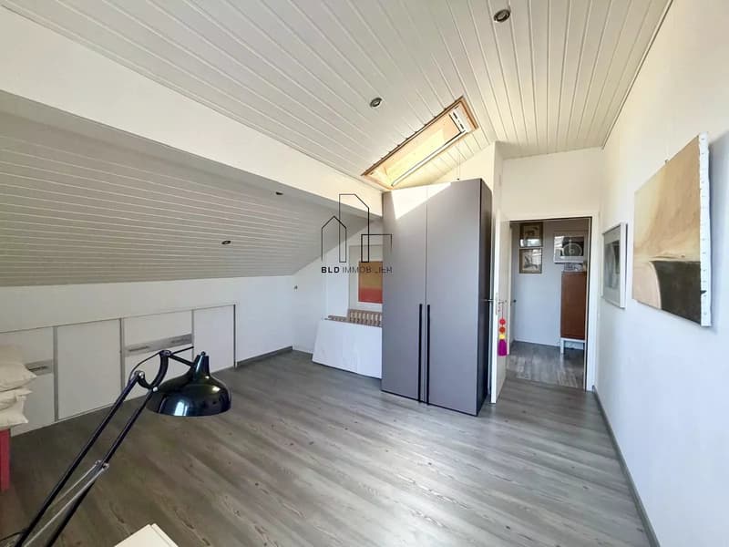 Farmhouse with 2 independent apartments (11)