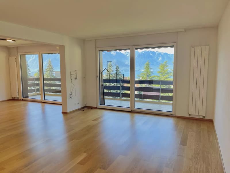 Helles 5.5-Zimmer-Wohnung komplett renoviert (5)