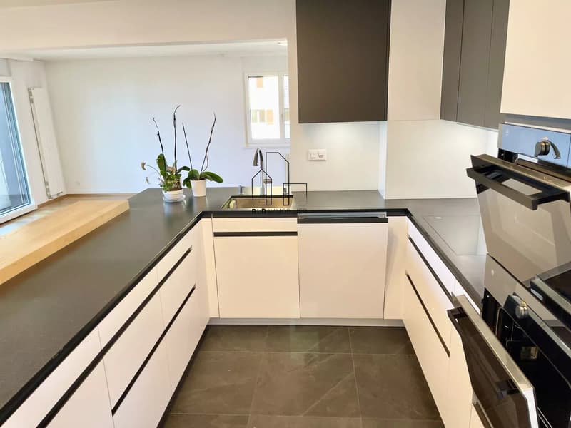 Helles 5.5-Zimmer-Wohnung komplett renoviert (3)