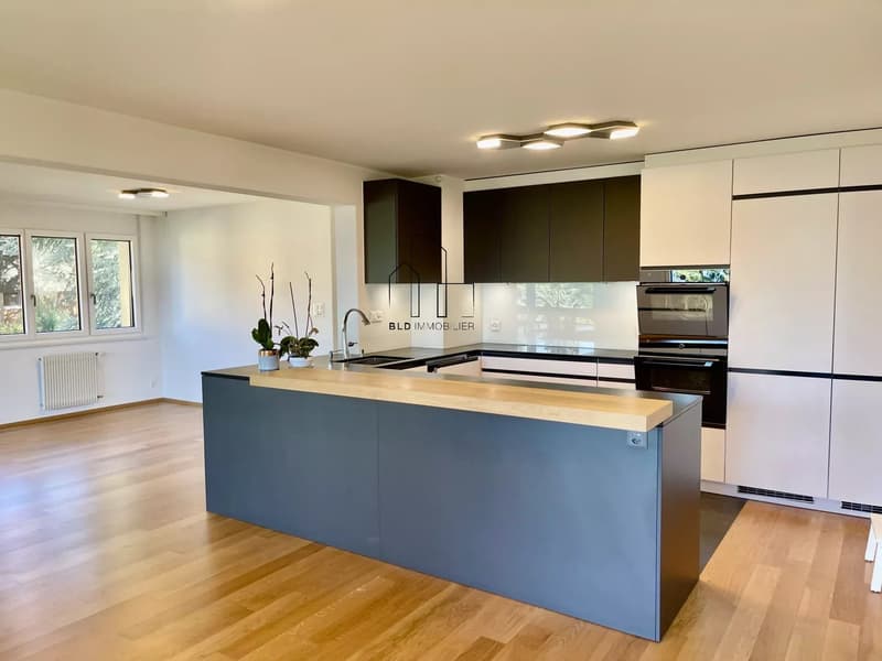 Helles 5.5-Zimmer-Wohnung komplett renoviert (2)