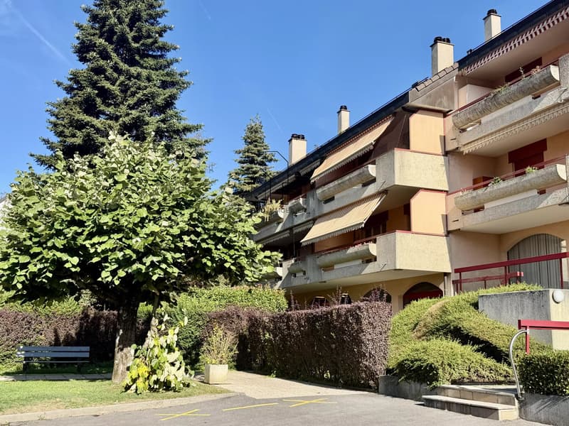 Appartement entièrement rénové (3)