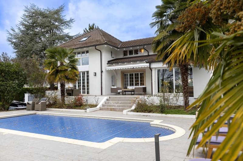 large house, white walls, brown roof, swimming pool, deck with seating area, palm trees, lawn