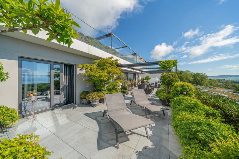 A Rare and Stunning Luxury Apartment with Spectacular Lake & Mont Blanc Views (6)