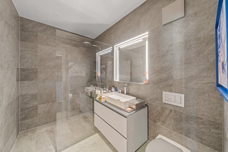 A Rare and Stunning Luxury Apartment with Spectacular Lake & Mont Blanc Views (5)