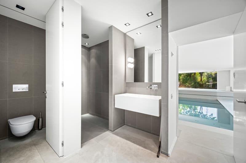 Magnifique et spacieuse propriété rénovée du XVIIIᵉ siècle, parcelle de 3 136 m², piscine intérieure (11)