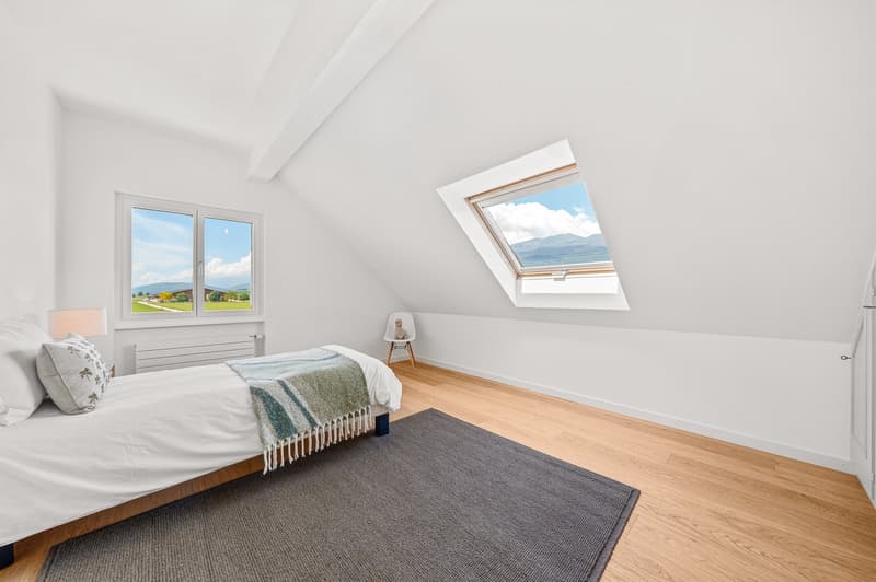 Magnifica villa individuale ristrutturata con vista panoramica, a 5 minuti da Nyon (11)