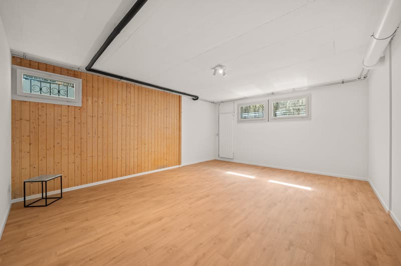 Magnifica villa individuale ristrutturata con vista panoramica, a 5 minuti da Nyon (15)
