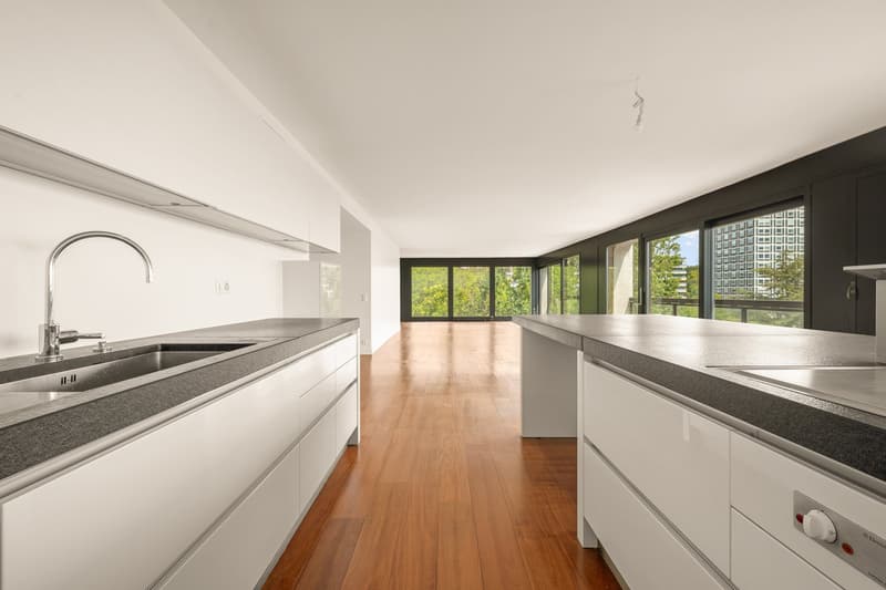 Unique penthouse with rooftop and swimming pool and amazing view on the lake and the Jet d’Eau (14)