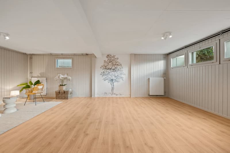 Villa individuelle rénovée avec vue panoramique à 5 minutes de Nyon (14)