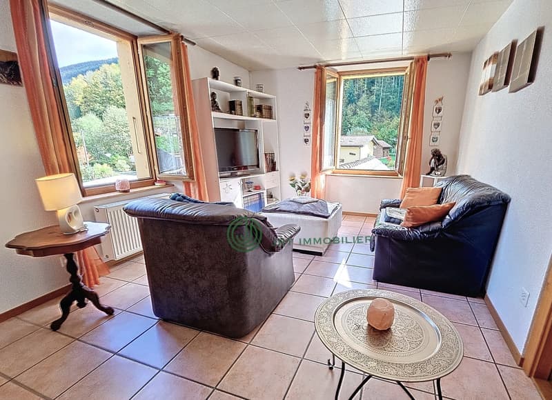 two sofas, coffee table, TV, radiator, shelves, lamp, table, tiled floor